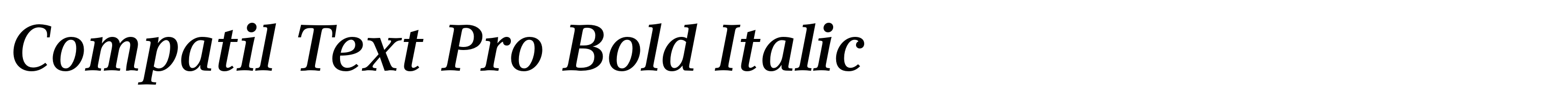 Compatil Text Pro Bold Italic